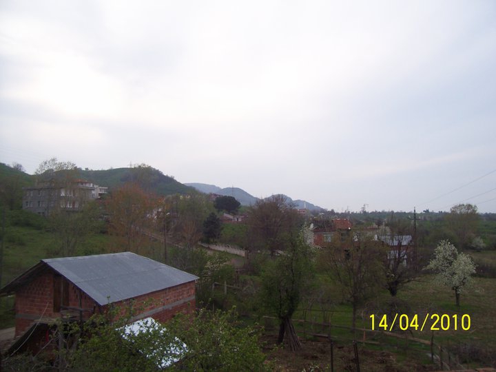 Ünye Güzelyalı Köyü Resimleri 1