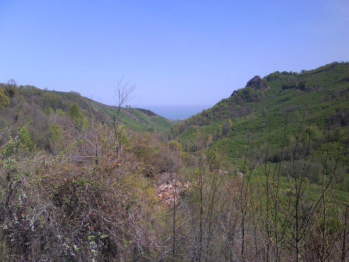 Ünye Güzelyalı Köyü Resimleri 10