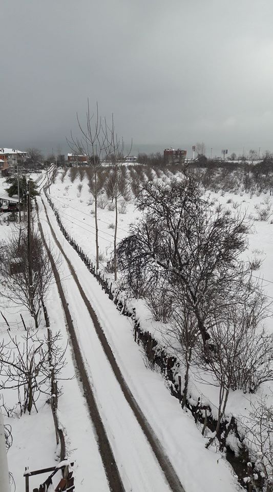Ünye Güzelyalı Köyü Resimleri 12
