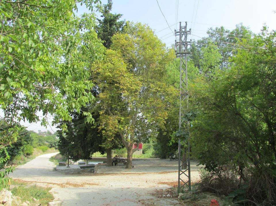 Adana Karaisalı Demirçit Köyü Resimleri 22