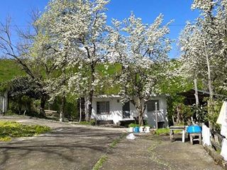 Ünye Saylan Köyü Resimleri 3