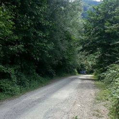 Ünye Saylan Köyü Resimleri 4