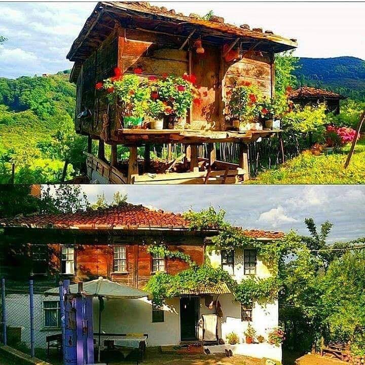 Ünye Saylan Köyü Resimleri 8