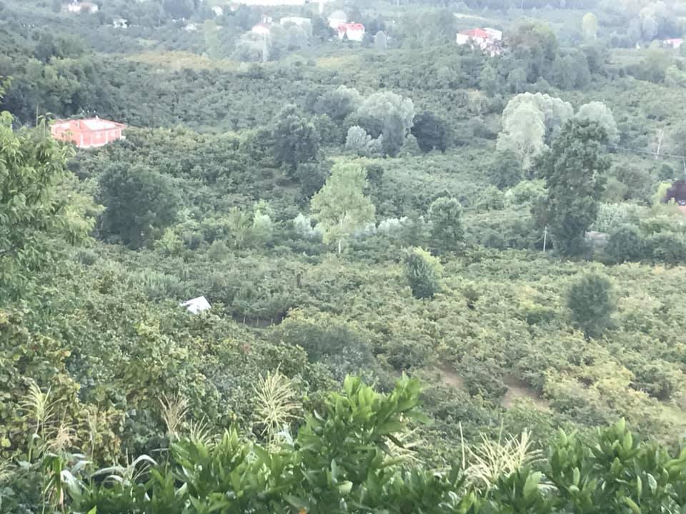 Ünye Sofutepesi Köyü Resimleri 1