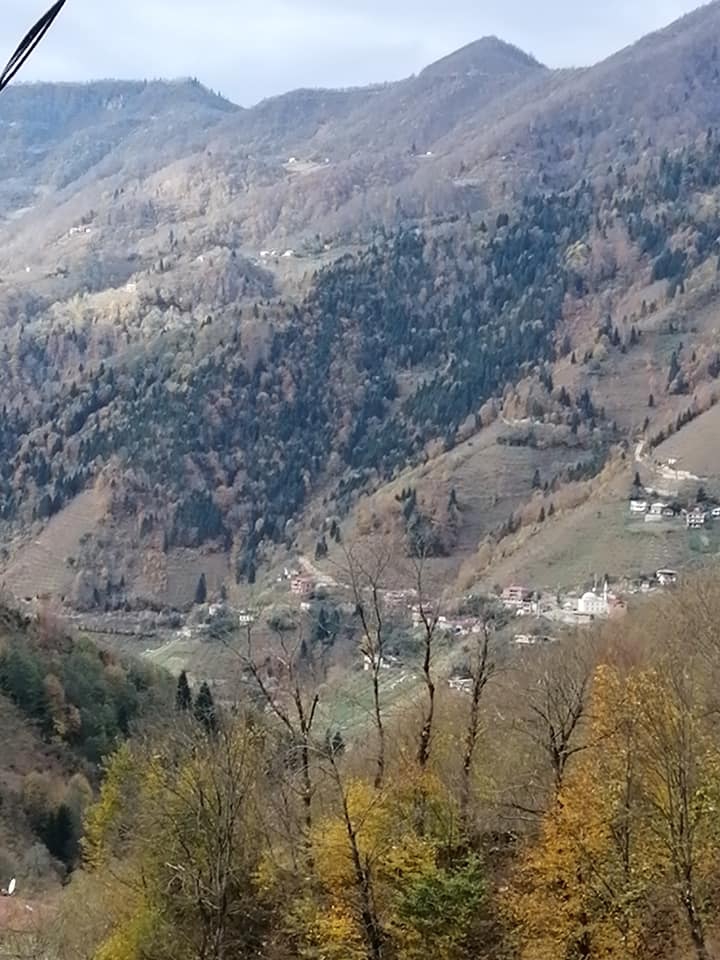 Ünye Tepeköy Köyü Resimleri 4