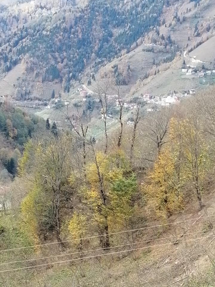 Ünye Tepeköy Köyü Resimleri 5