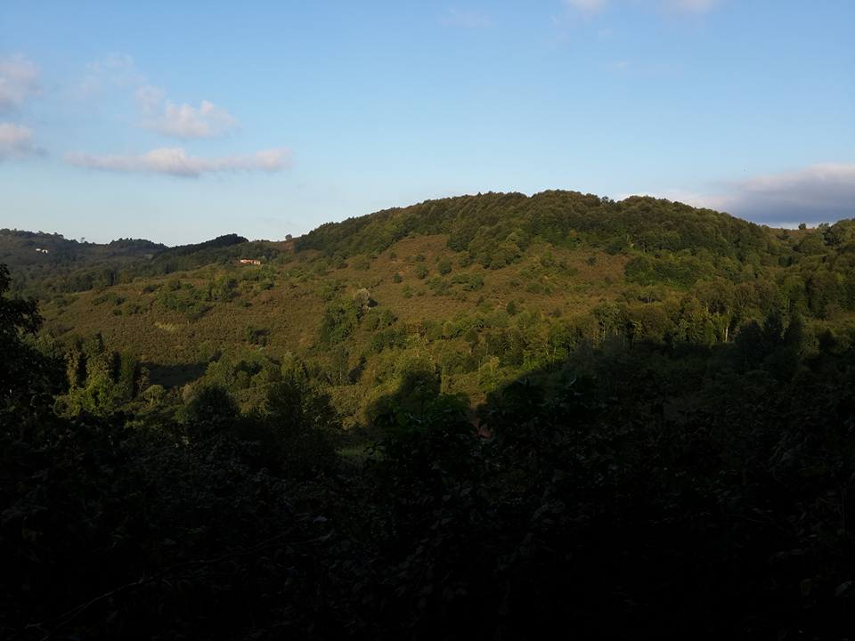 Ünye Uğurlu Köyü Resimleri 1