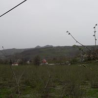 Ünye Uğurlu Köyü Resimleri 13