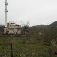 Ünye Uğurlu Köyü Resimleri 17