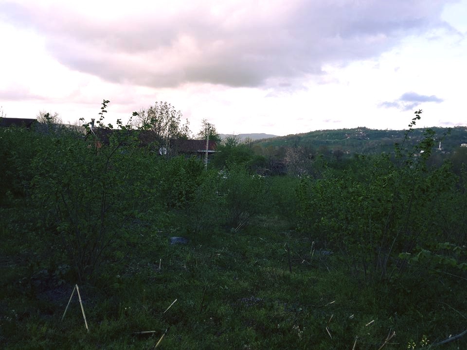 Ünye Uğurlu Köyü Resimleri 5