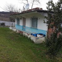 Ünye Uğurlu Köyü Resimleri 6