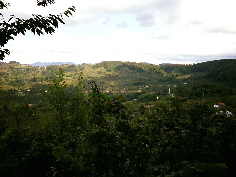 Ünye Uğurlu Köyü Resimleri 7