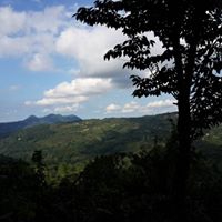 Ünye Uğurlu Köyü Resimleri 8