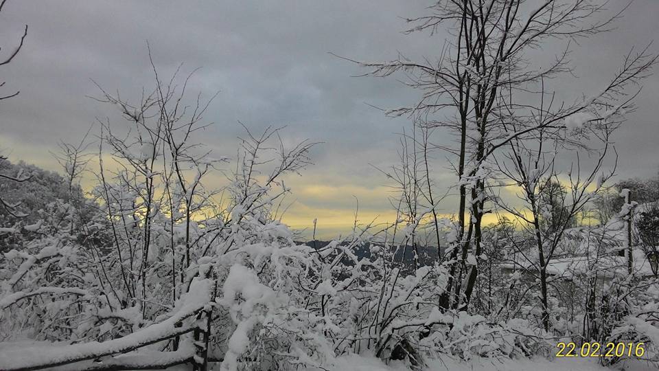 Ünye Yaylalı Köyü Resimleri 1