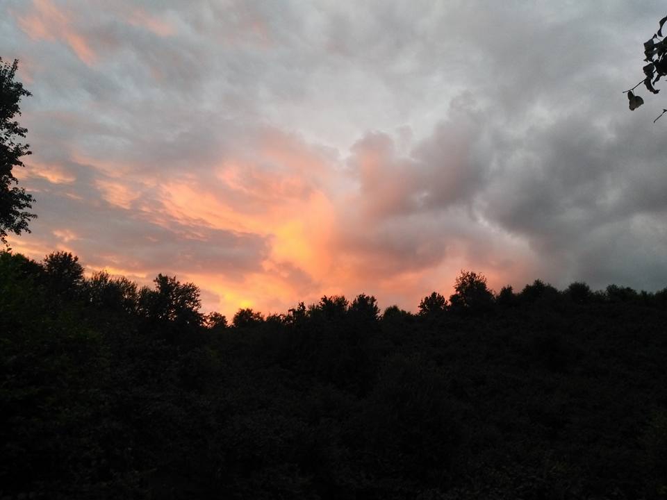 Ünye Yeşilkent Köyü Resimleri 3