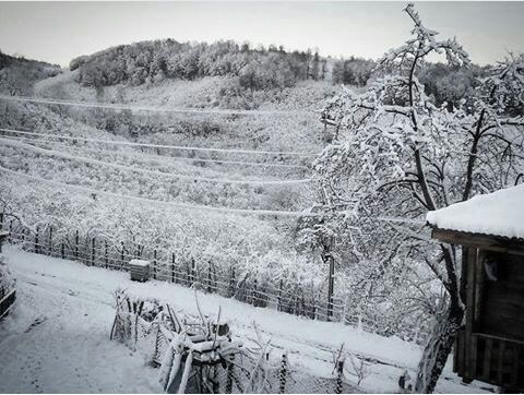 Ünye Yeşilkent Köyü Resimleri 5