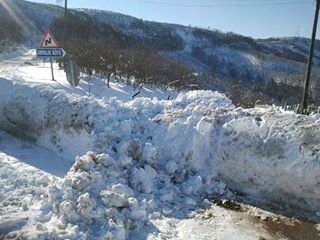 Fatsa Arpalık Köyü Resimleri 1