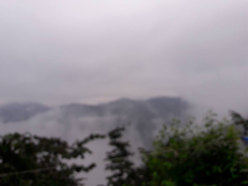 Fatsa Arpalık Köyü Resimleri 3