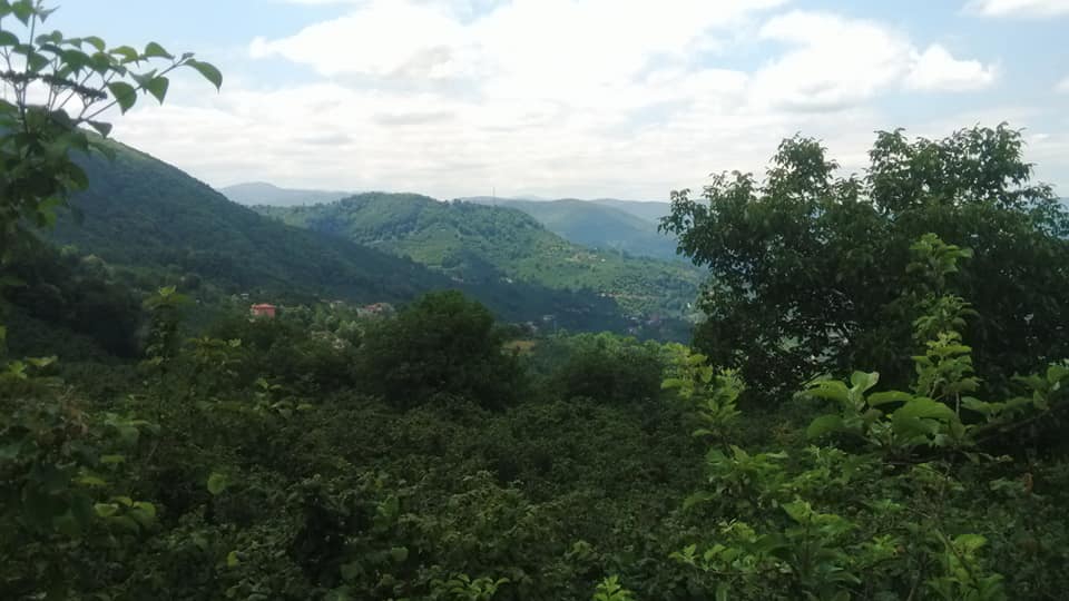 Fatsa Arpalık Köyü Resimleri 4