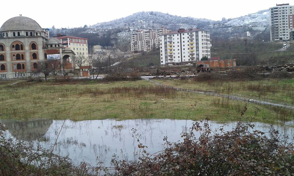 Fatsa Ayazlı Köyü Resimleri 1