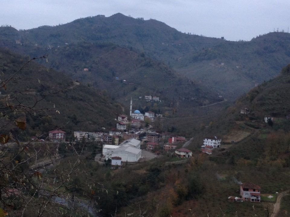 Fatsa Bacanak Köyü Resimleri 1