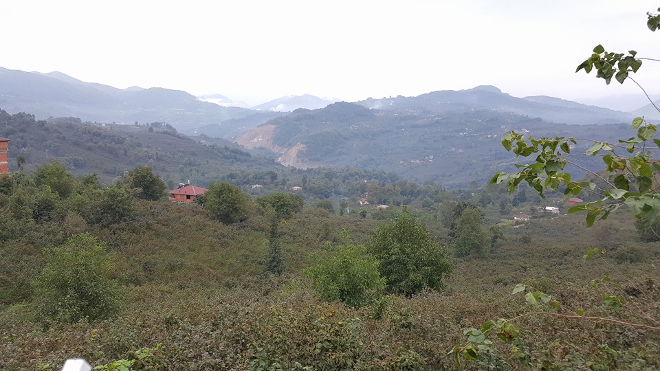 Fatsa Bacanak Köyü Resimleri 4