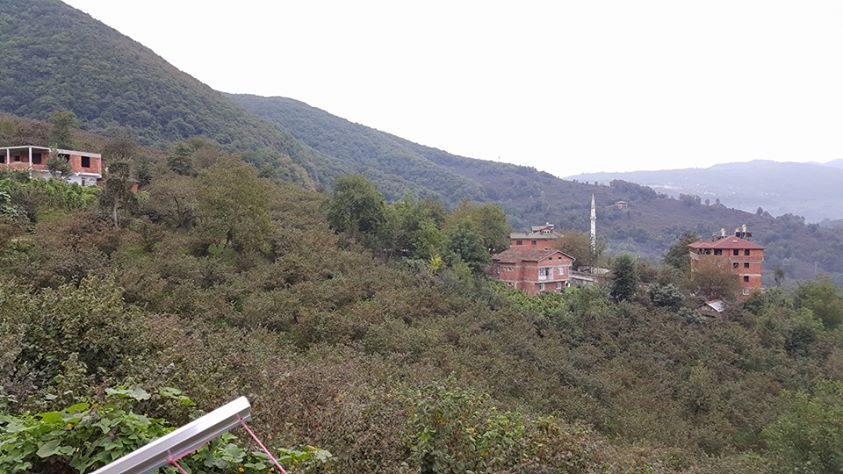 Fatsa Bacanak Köyü Resimleri 5