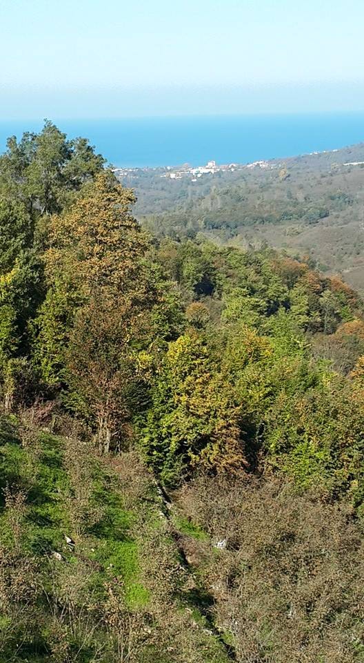 Fatsa Bağlarca Köyü Resimleri 1