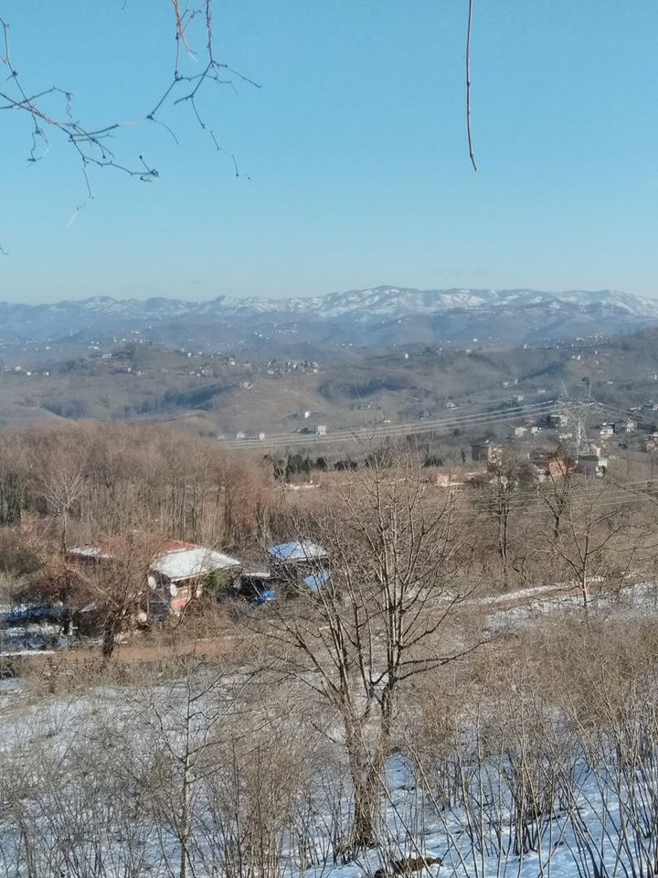 Fatsa Bağlarca Köyü Resimleri 3