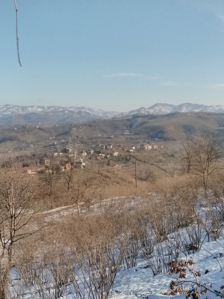 Fatsa Bağlarca Köyü Resimleri 4