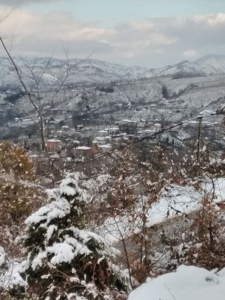 Fatsa Bağlarca Köyü Resimleri 5