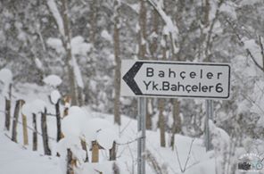 Fatsa Bahçeler Köyü Resimleri 2