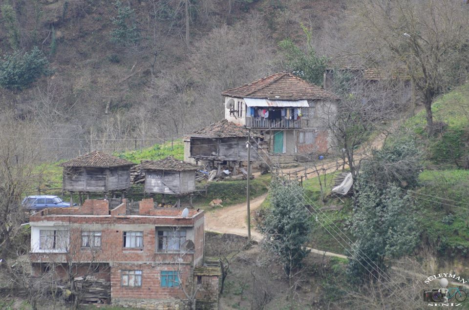 Fatsa Bahçeler Köyü Resimleri 4