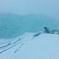 Fatsa Bahçeler Köyü Resimleri 5