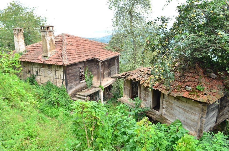 Fatsa Bahçeler Köyü Resimleri 6