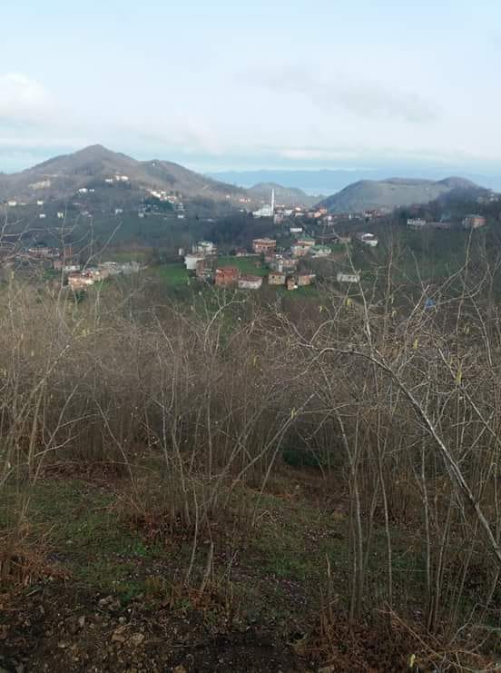 Fatsa Çöteli Köyü Resimleri 3