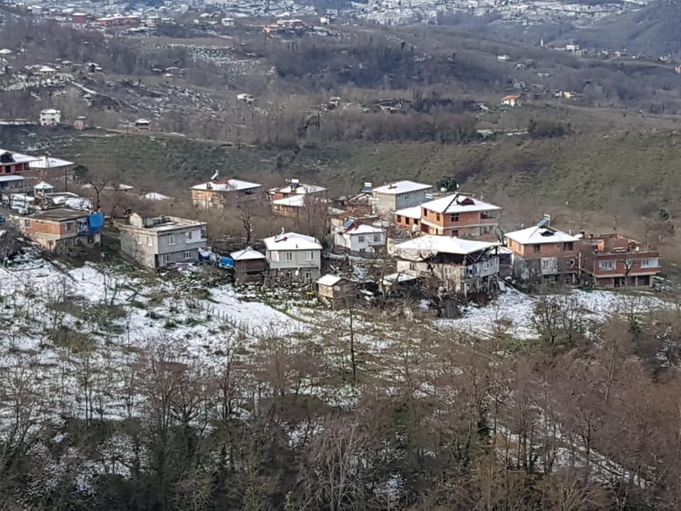Fatsa Çöteli Köyü Resimleri 4