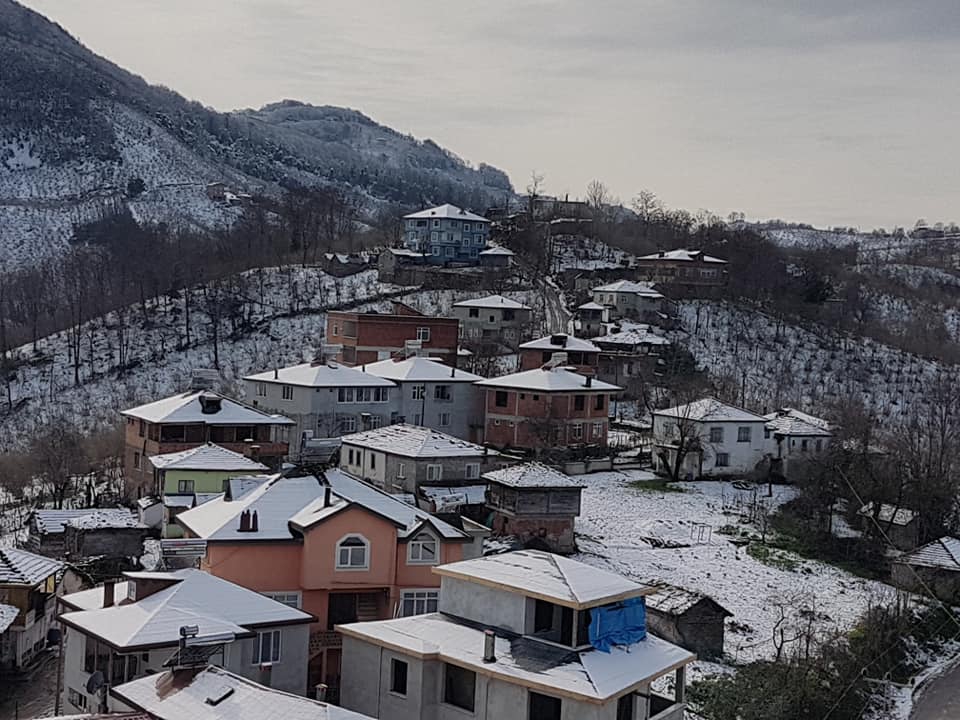 Fatsa Çöteli Köyü Resimleri 5