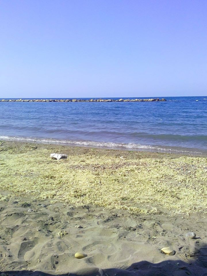 Fatsa Dolunay Köyü Resimleri 2