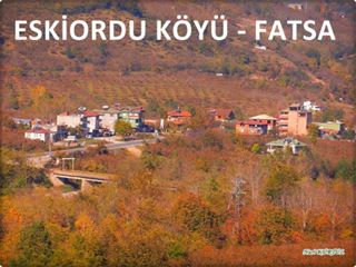 Fatsa Eskiordu Köyü Resimleri 1