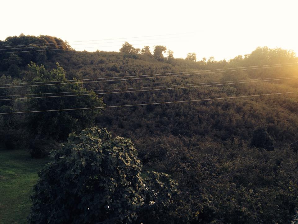 Fatsa Hamlık Köyü Resimleri 1