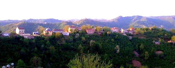 Fatsa Ilıca Köyü Resimleri 1