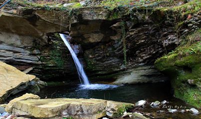 Fatsa Ilıca Köyü Resimleri 2