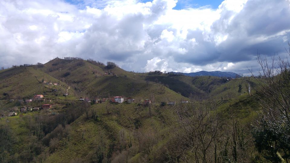 Fatsa Ilıca Köyü Resimleri 6