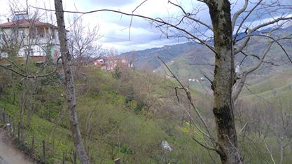 Fatsa Ilıca Köyü Resimleri 7