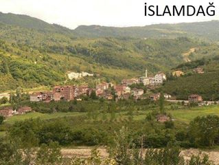 Fatsa İslamdağ Köyü Resimleri 6