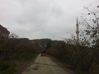 Fatsa Salihli Köyü Resimleri 2