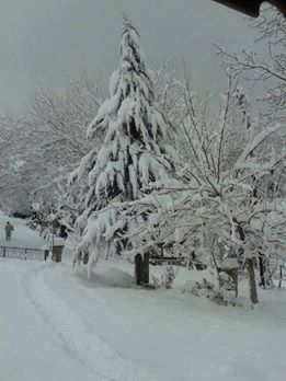 Fatsa Salihli Köyü Resimleri 4