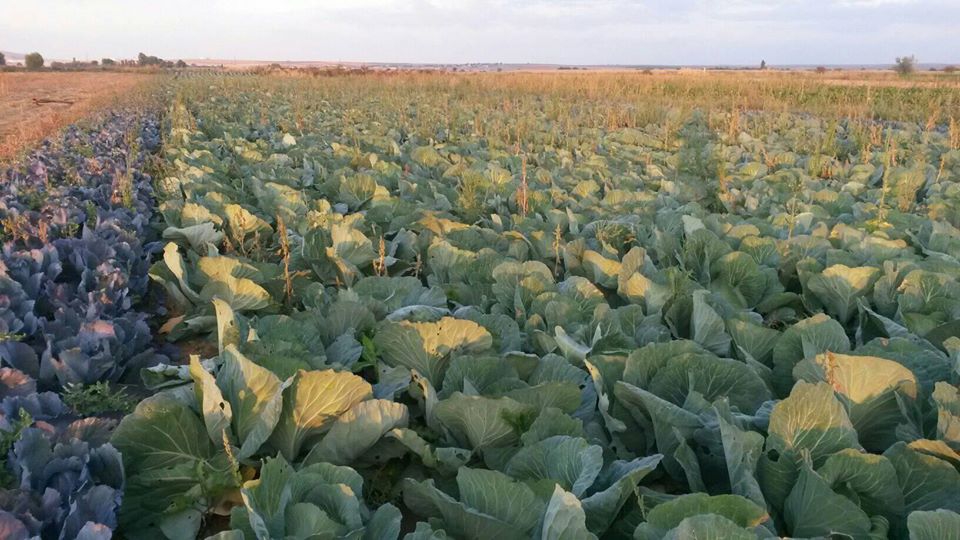 Ilgın Ağalar Köyü Resimleri 5