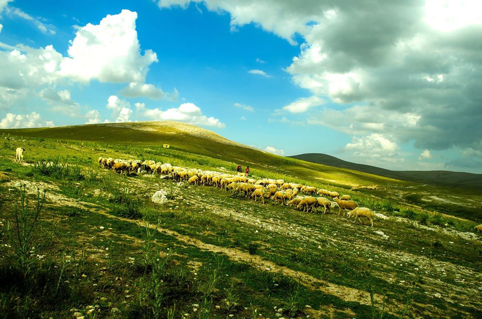 Ilgın Avdan Köyü Resimleri 11